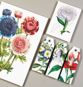 Pepin Papercraft Books 